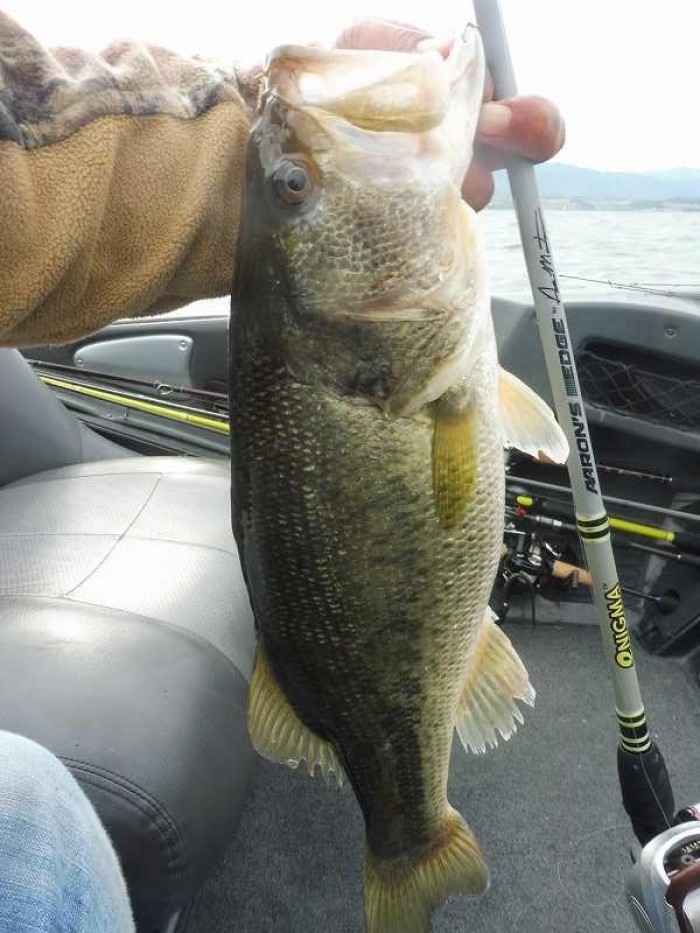 truth  ブログ写真 2017/05/03