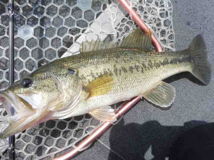 truth  ブログ写真 2017/05/04