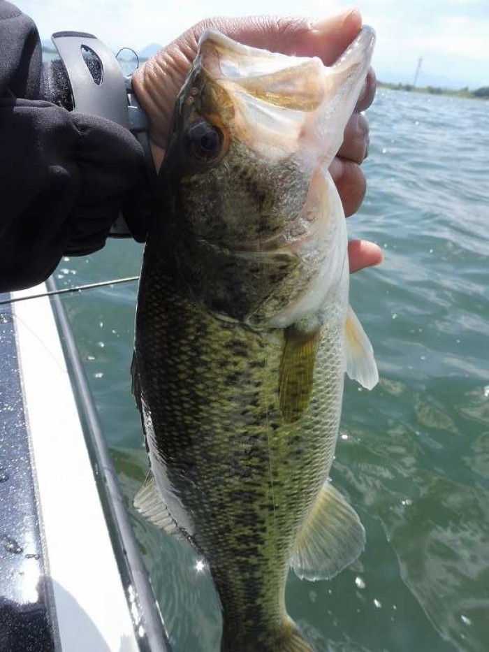 truth  ブログ写真 2017/05/04