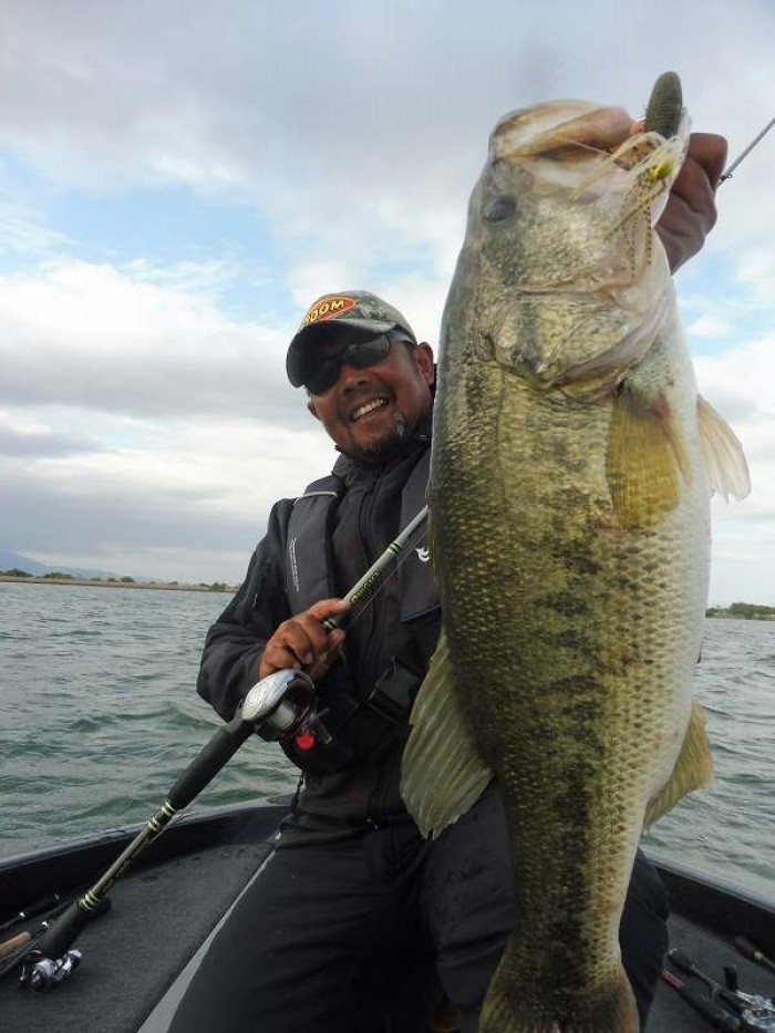 truth  ブログ写真 2017/05/04