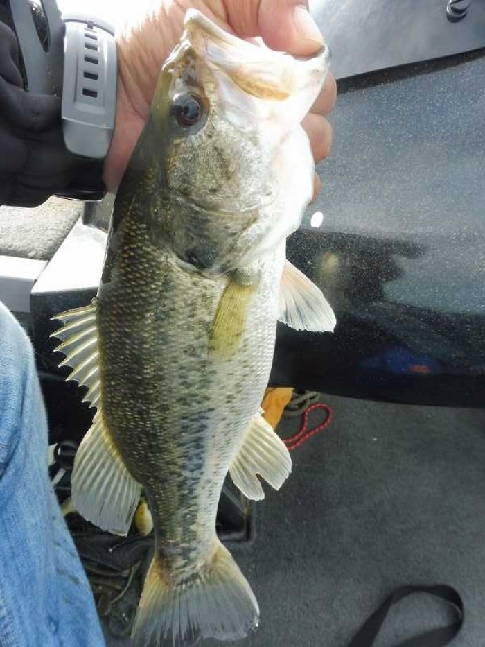 truth  ブログ写真 2017/05/05