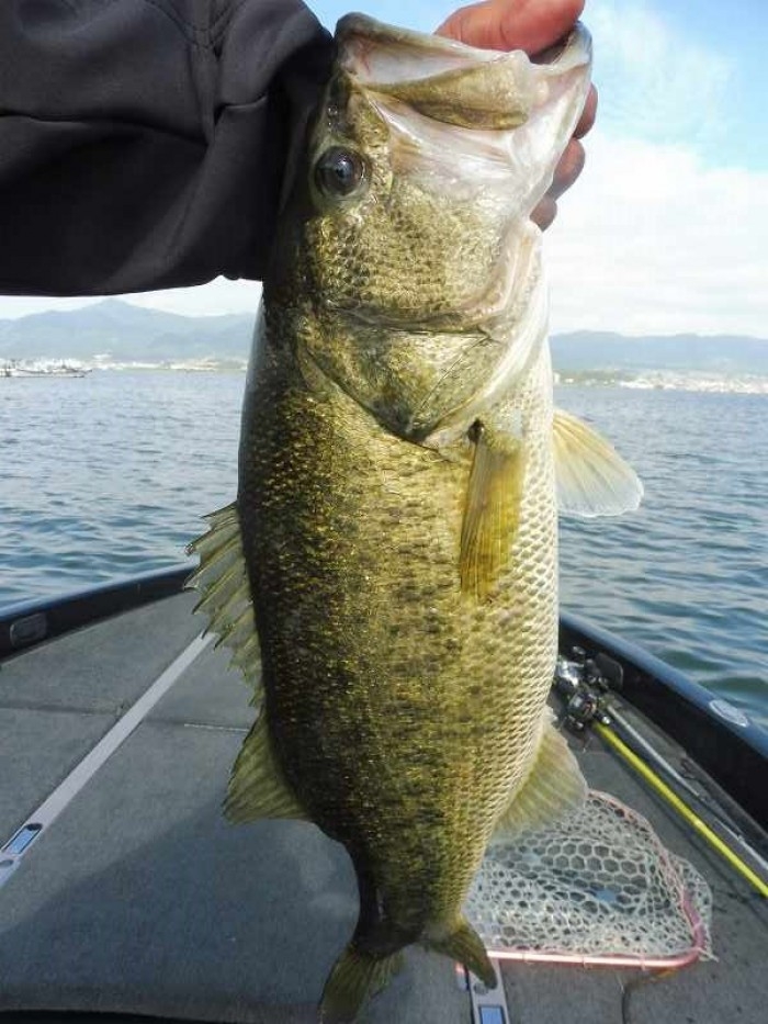 truth  ブログ写真 2017/05/05