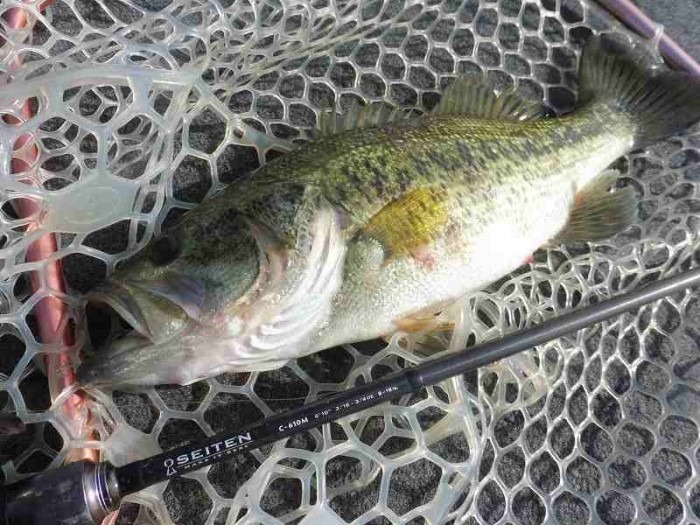 truth  ブログ写真 2017/05/05