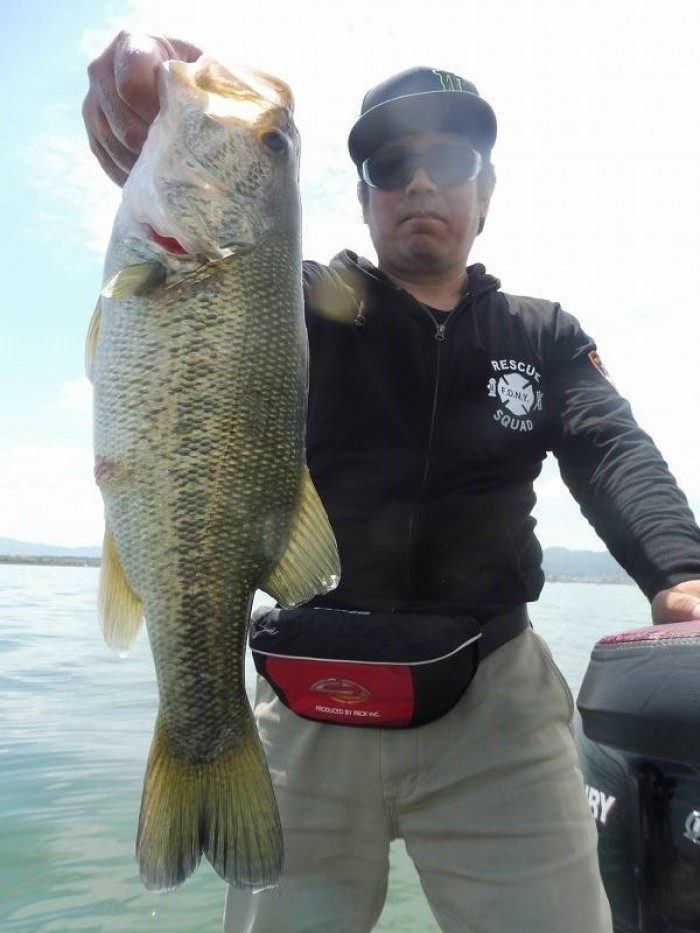 truth  ブログ写真 2017/05/05