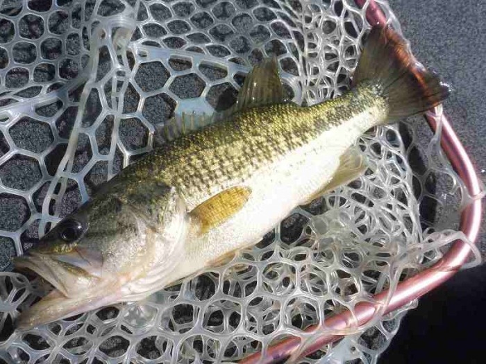 truth  ブログ写真 2017/05/05