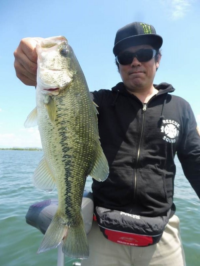 truth  ブログ写真 2017/05/05