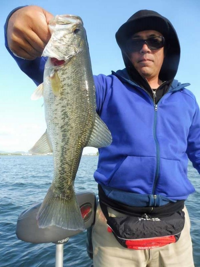 truth  ブログ写真 2017/05/05