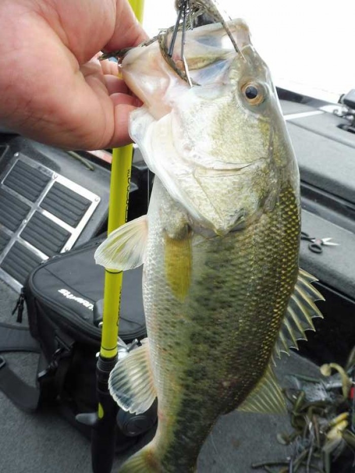 truth  ブログ写真 2017/05/06