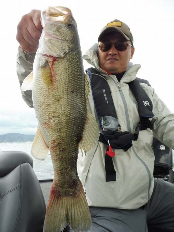 truth  ブログ写真 2017/05/06