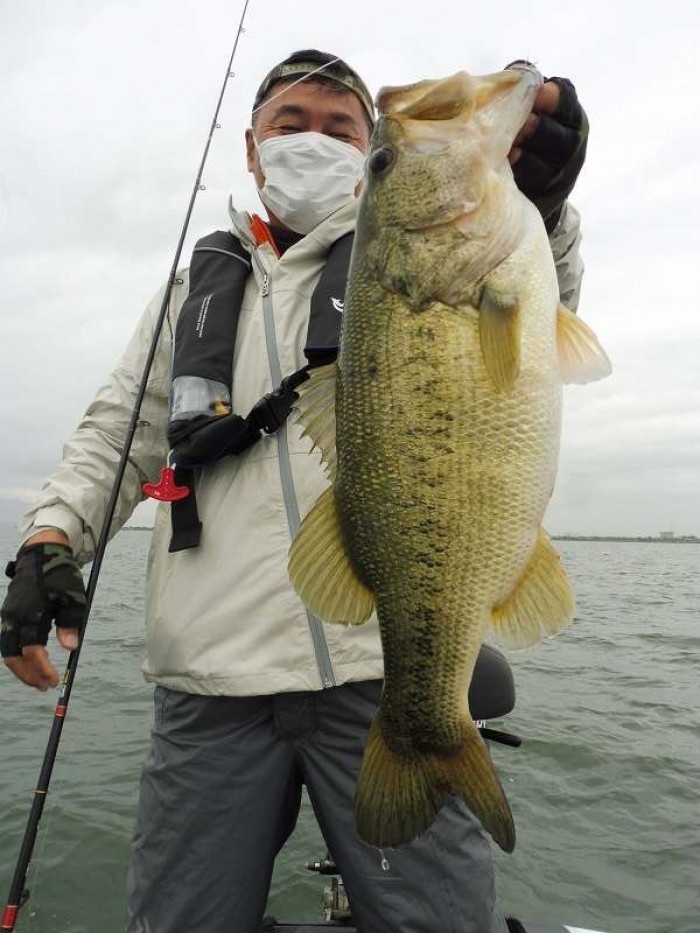 truth  ブログ写真 2017/05/06