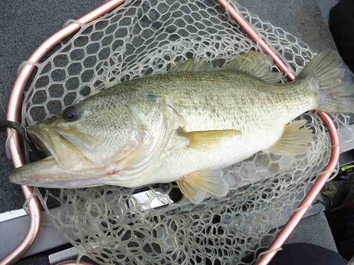 truth  ブログ写真 2017/05/06