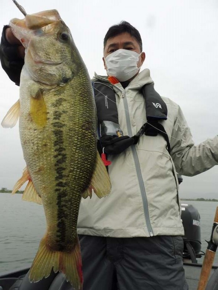 truth  ブログ写真 2017/05/06