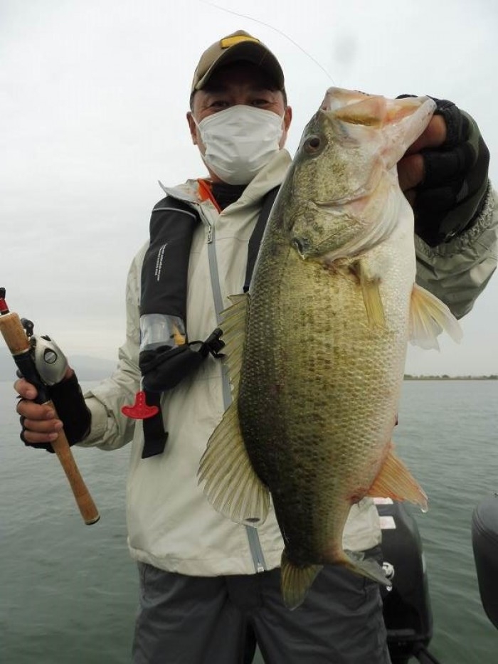 truth  ブログ写真 2017/05/06