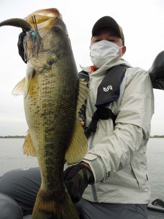 truth  ブログ写真 2017/05/06