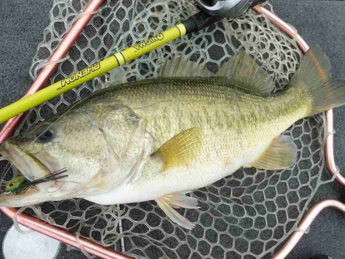 truth  ブログ写真 2017/05/06