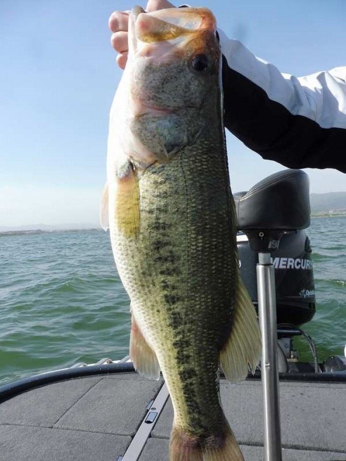 truth  ブログ写真 2017/05/07