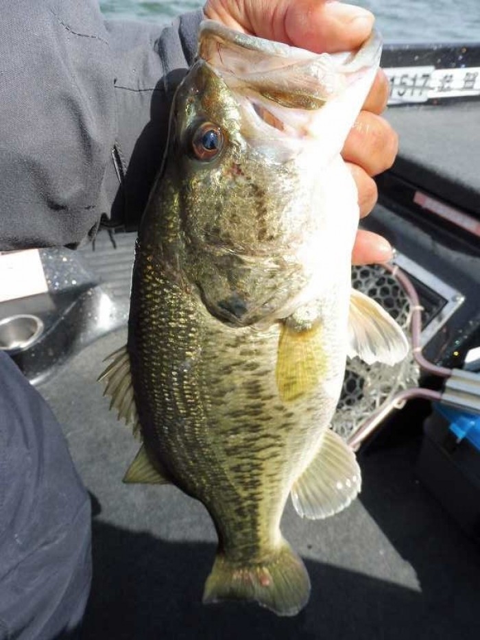 truth  ブログ写真 2017/05/07