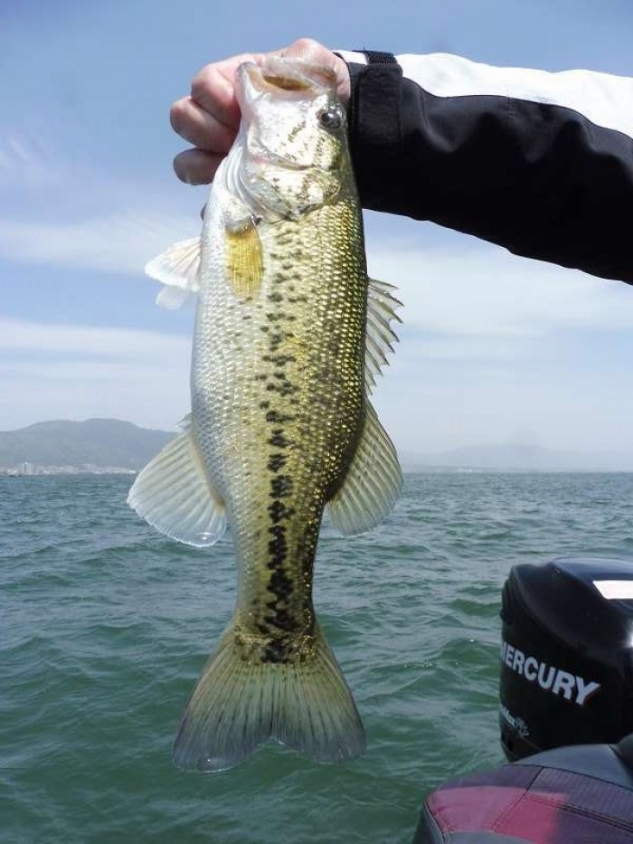 truth  ブログ写真 2017/05/07