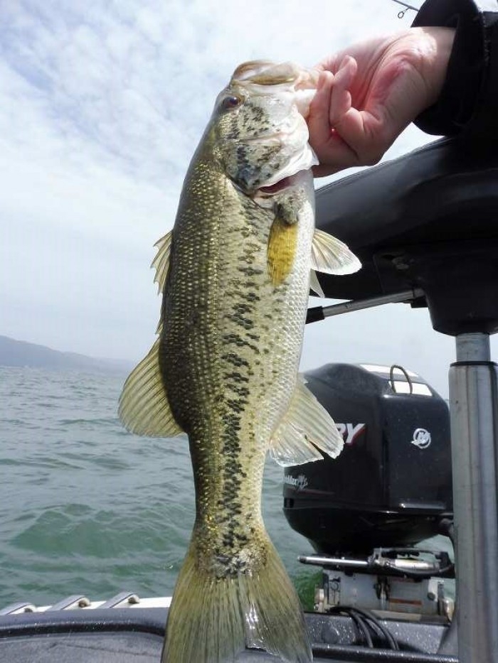 truth  ブログ写真 2017/05/07