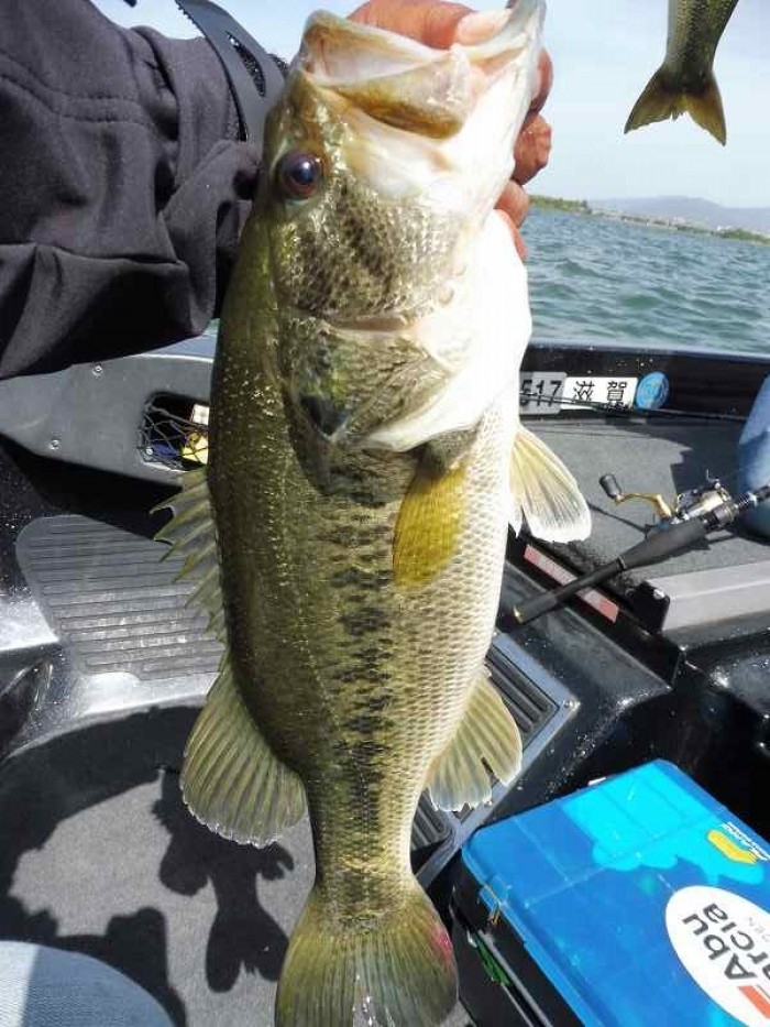 truth  ブログ写真 2017/05/07