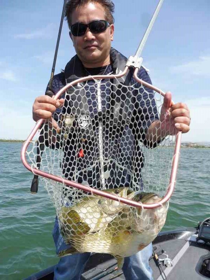 truth  ブログ写真 2017/05/07