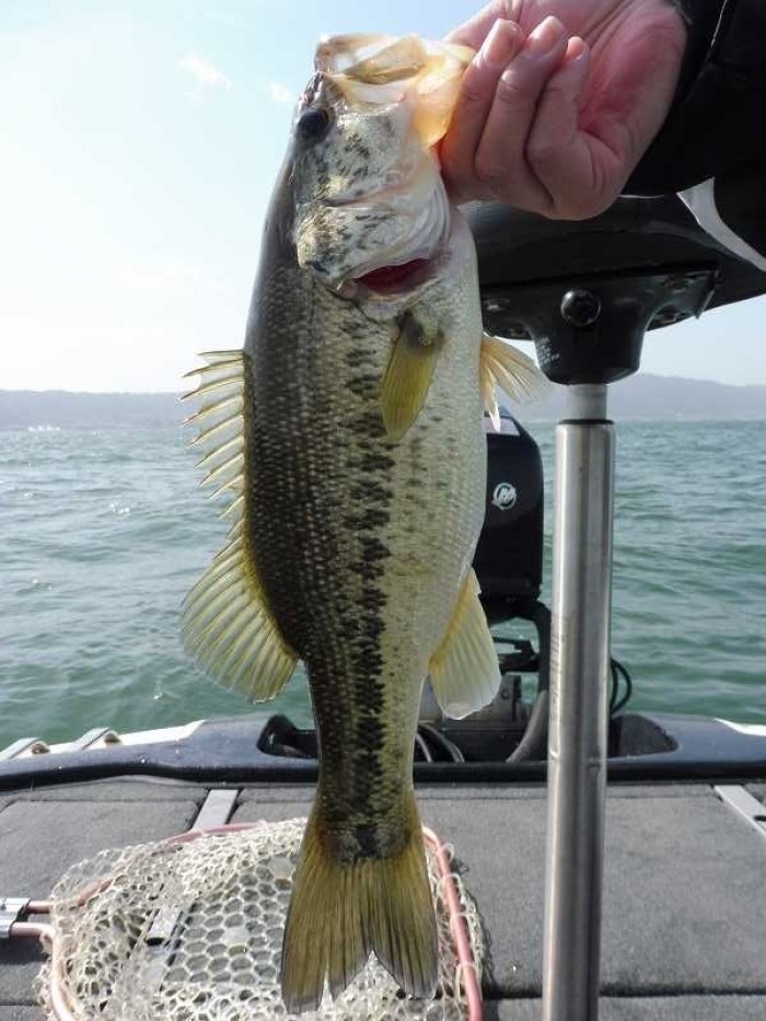 truth  ブログ写真 2017/05/07