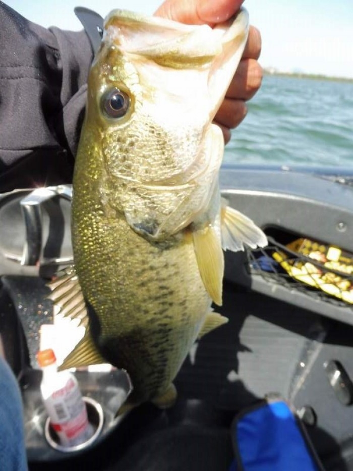 truth  ブログ写真 2017/05/07