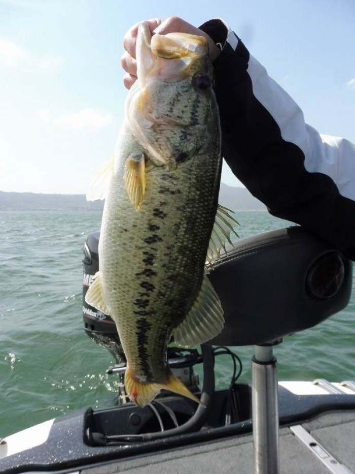 truth  ブログ写真 2017/05/07