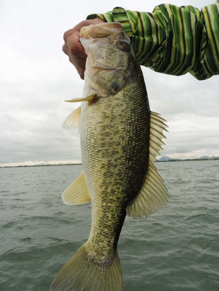 truth  ブログ写真 2017/05/10