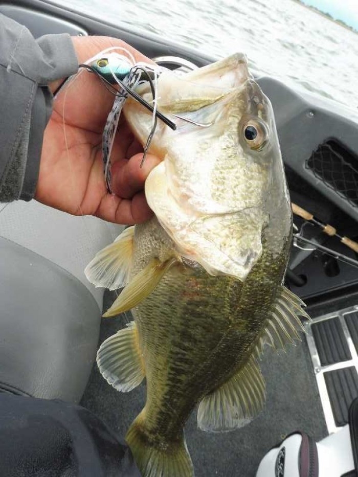 truth  ブログ写真 2017/05/10