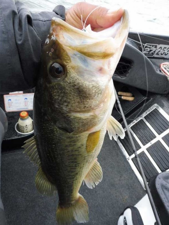 truth  ブログ写真 2017/05/10