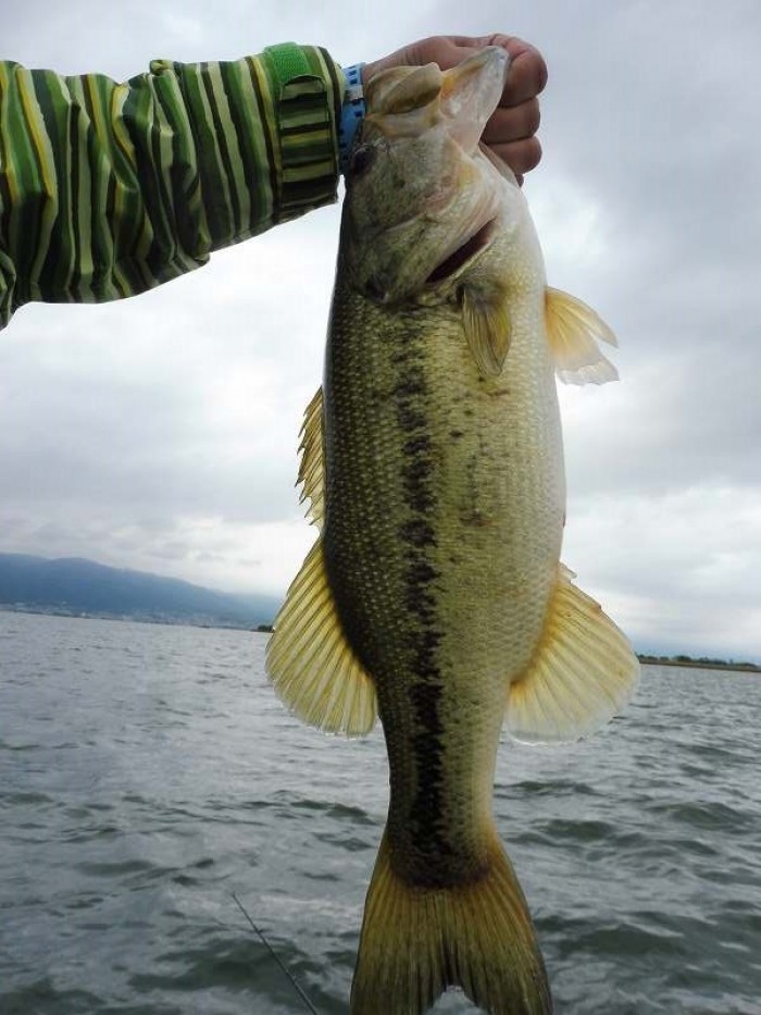 truth  ブログ写真 2017/05/10