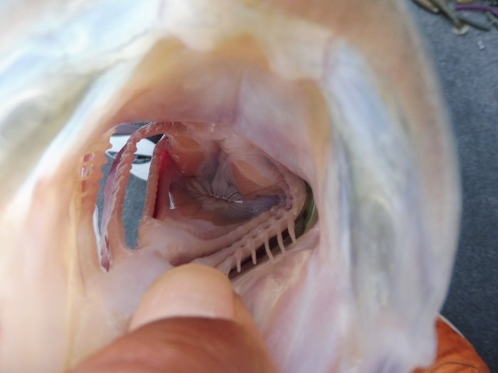 truth  ブログ写真 2017/05/10