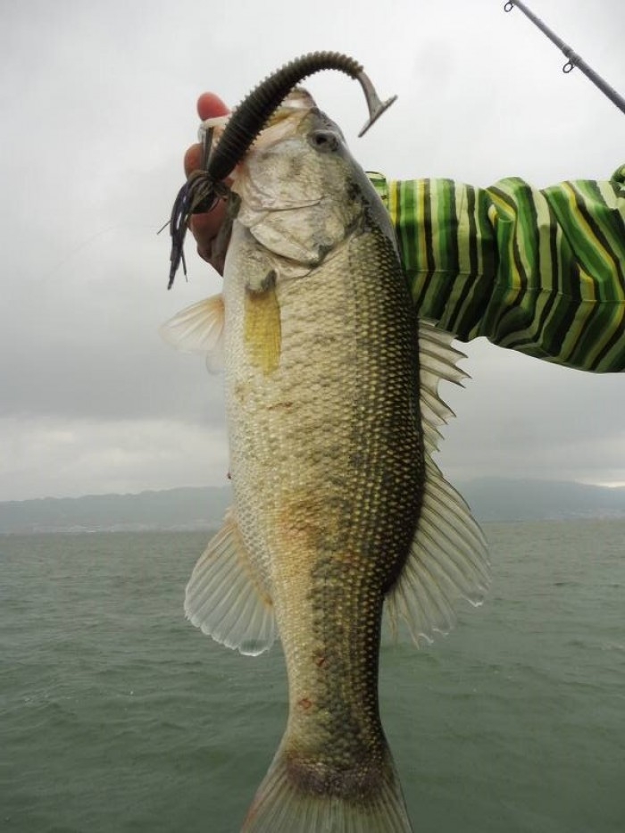 truth  ブログ写真 2017/05/10