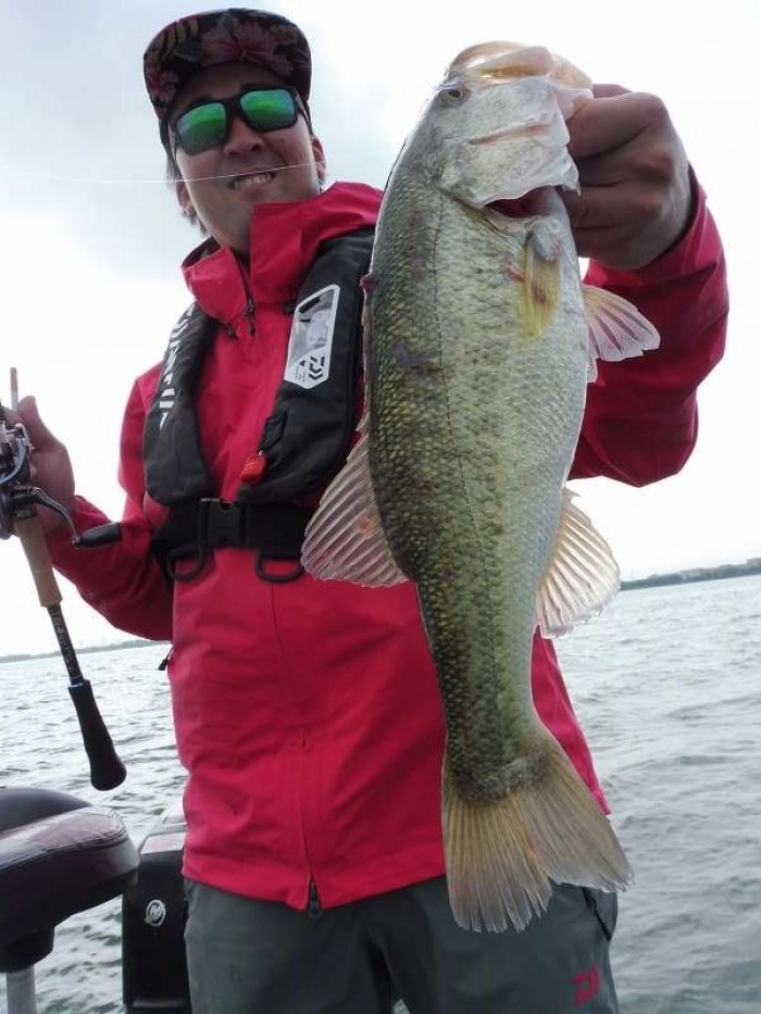 truth  ブログ写真 2017/05/11