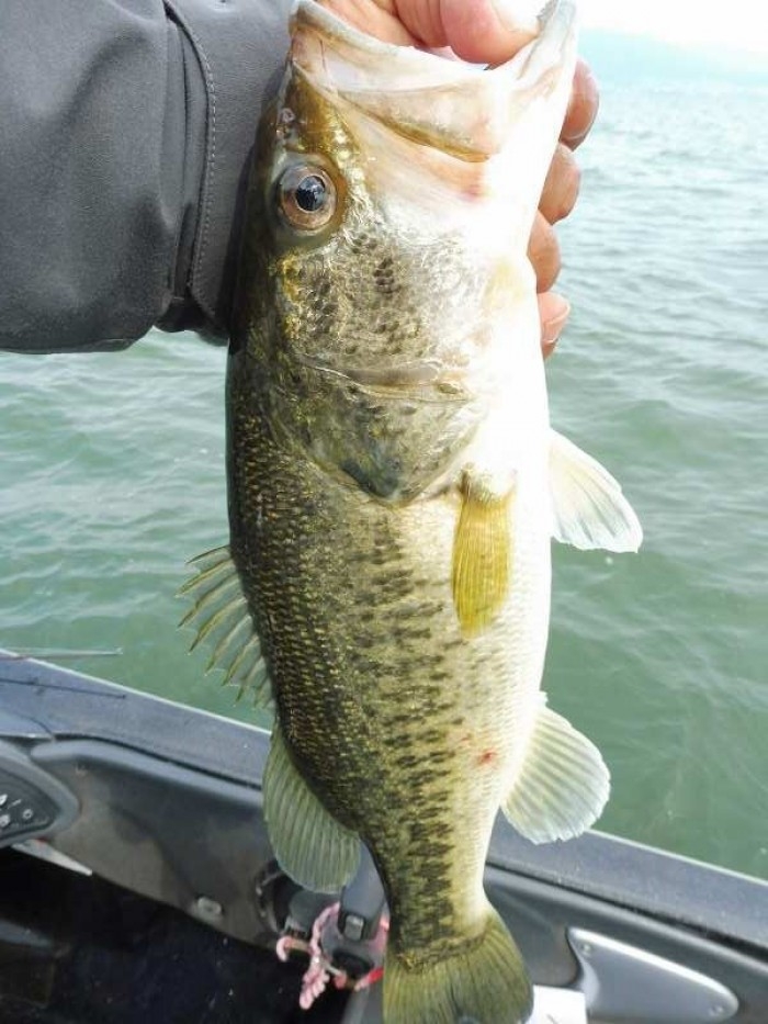 truth  ブログ写真 2017/05/11