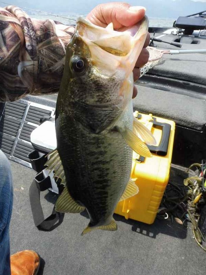 truth  ブログ写真 2017/05/11