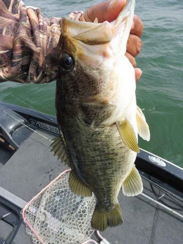 truth  ブログ写真 2017/05/11