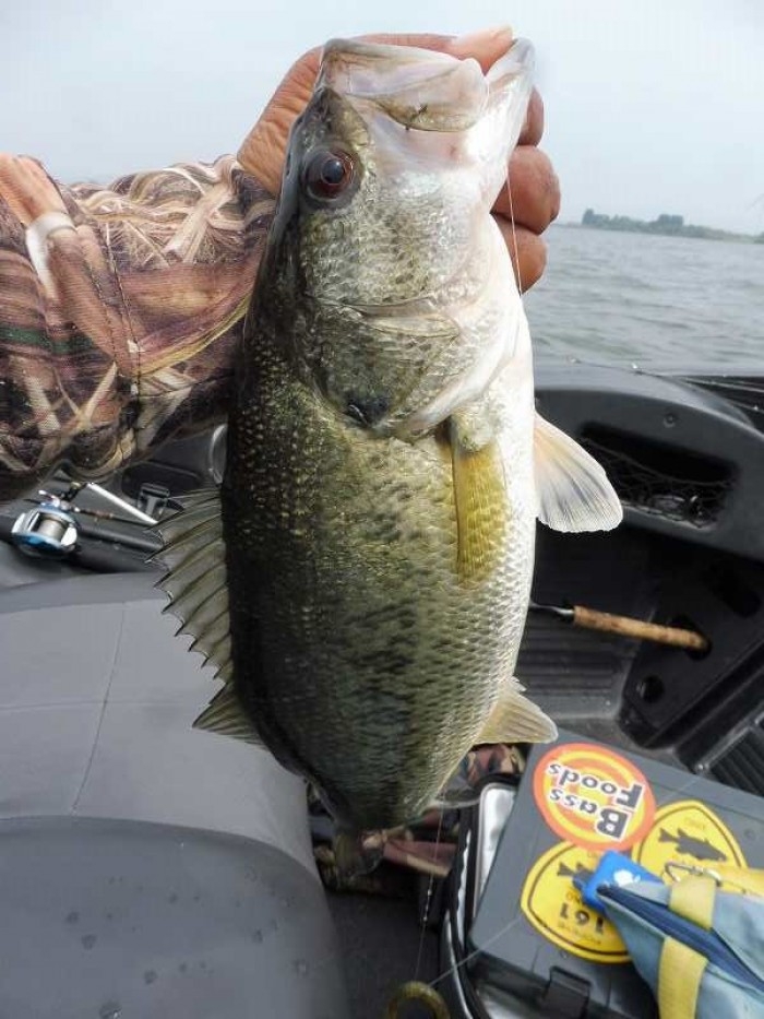 truth  ブログ写真 2017/05/12