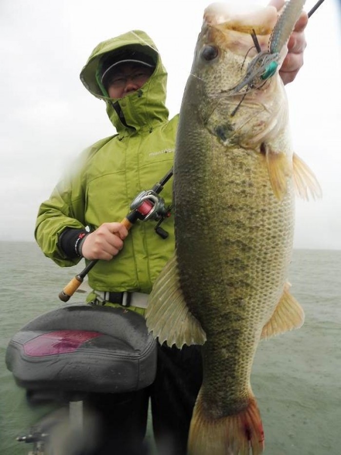 truth  ブログ写真 2017/05/13