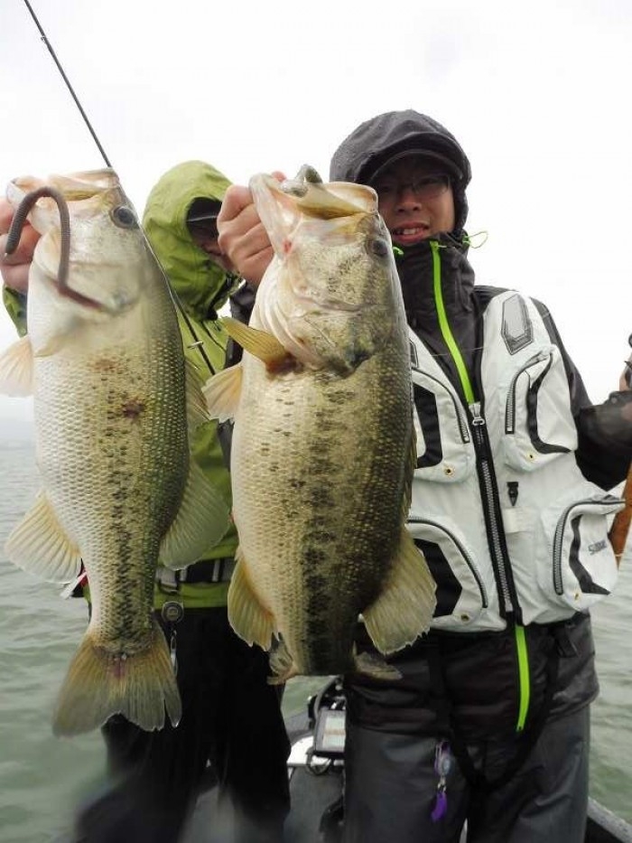 truth  ブログ写真 2017/05/13