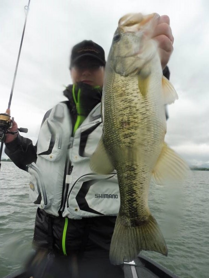 truth  ブログ写真 2017/05/13