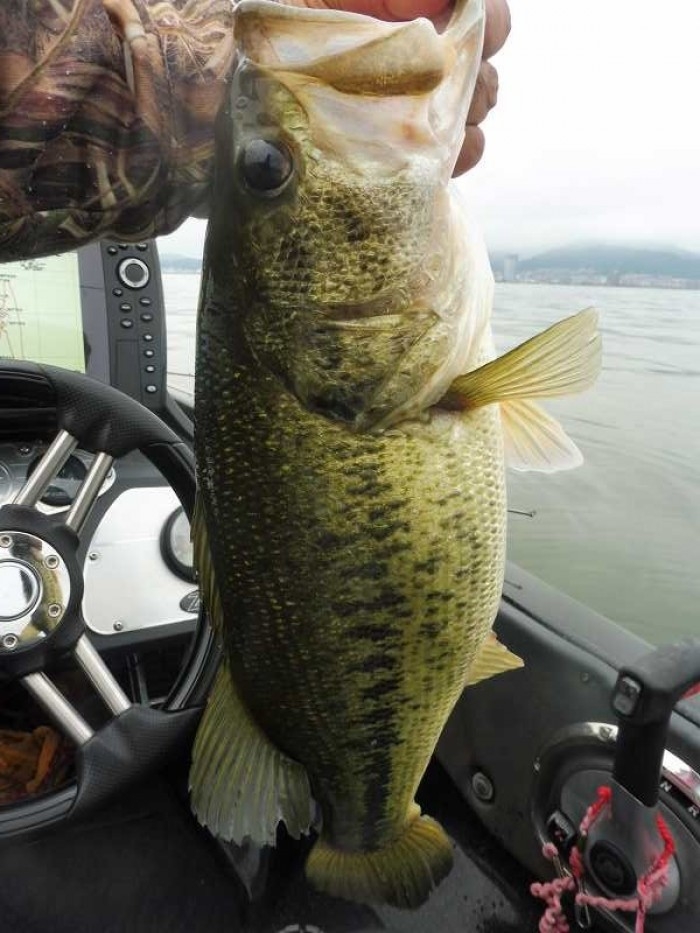 truth  ブログ写真 2017/05/13