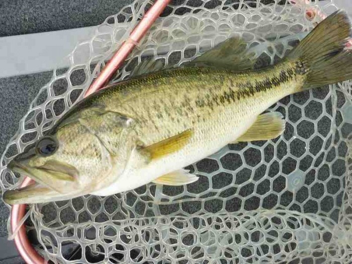 truth  ブログ写真 2017/05/13