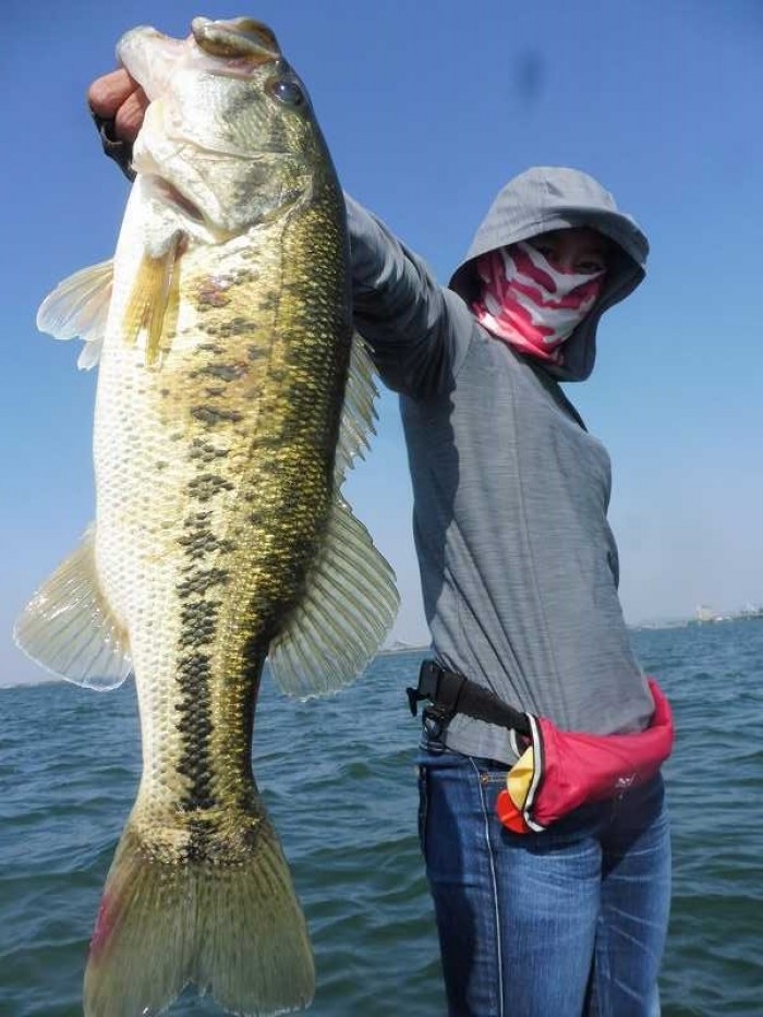 truth  ブログ写真 2017/05/14