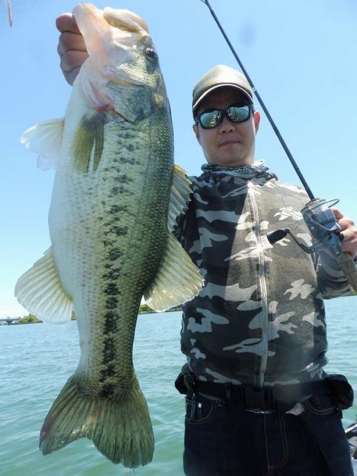 truth  ブログ写真 2017/05/18