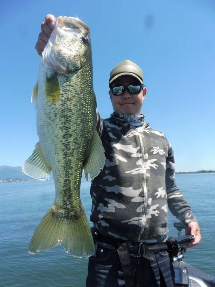 truth  ブログ写真 2017/05/18