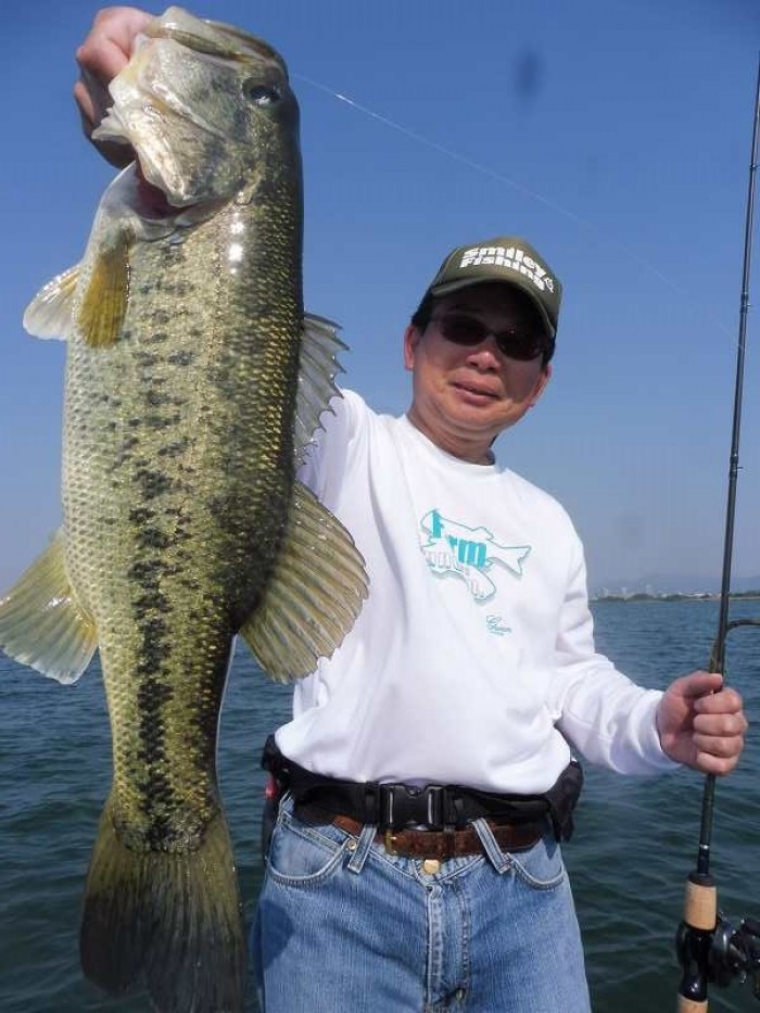 truth  ブログ写真 2017/05/20