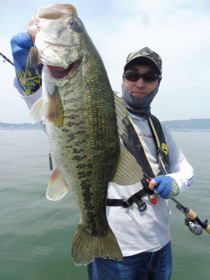 truth  ブログ写真 2017/05/21