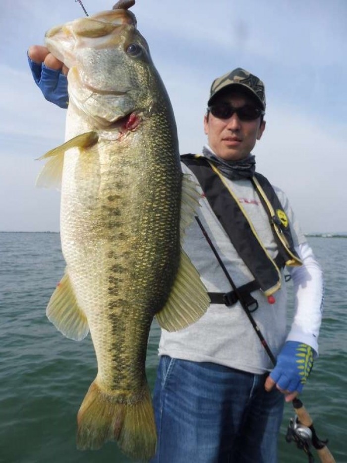 truth  繝悶Ο繧ｰ蜀咏悄 2017/05/21